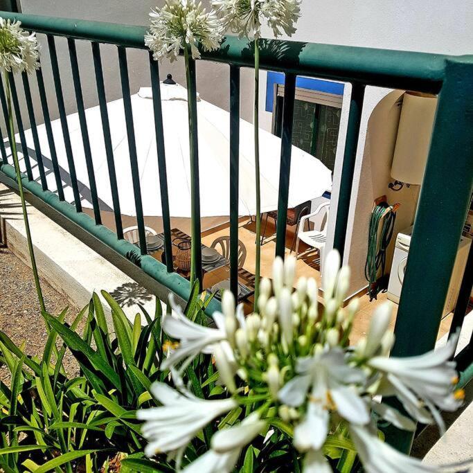 Apartamento Encantador A 100M Da Praia Carvoeiro  Exteriér fotografie