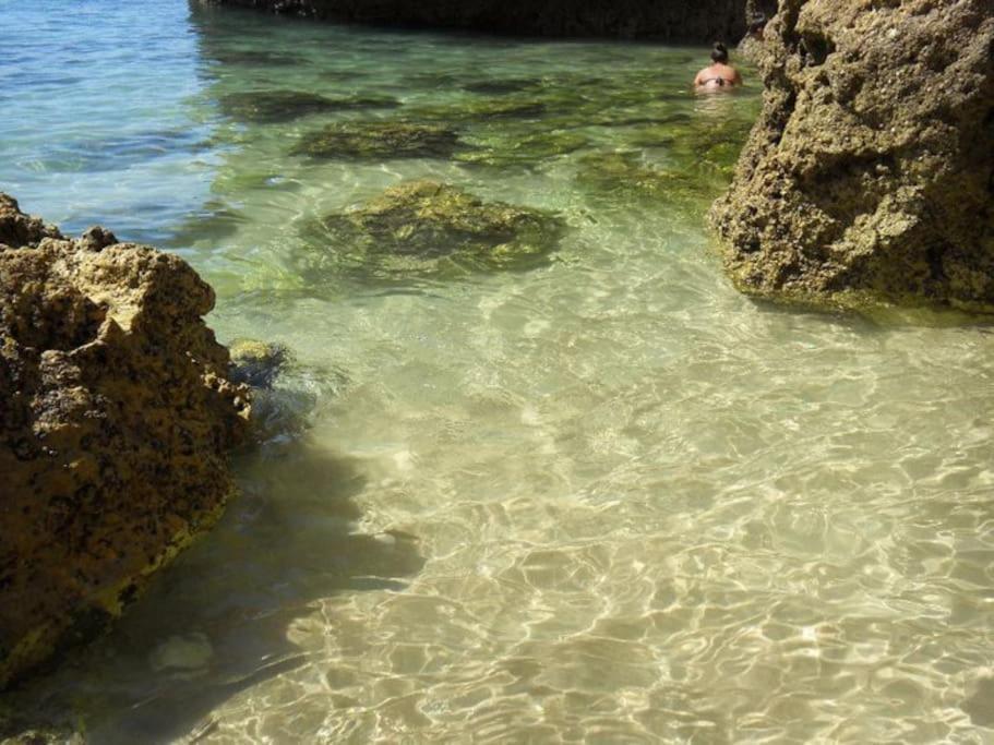 Apartamento Encantador A 100M Da Praia Carvoeiro  Exteriér fotografie
